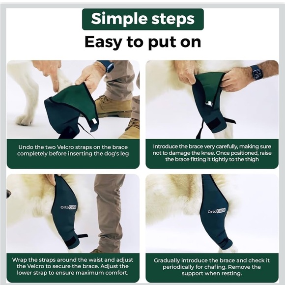 Ortocanis Dog Knee Brace For Hind Leg Support
- Flexible Neoprene Knee Brace - Picture 6 of 9